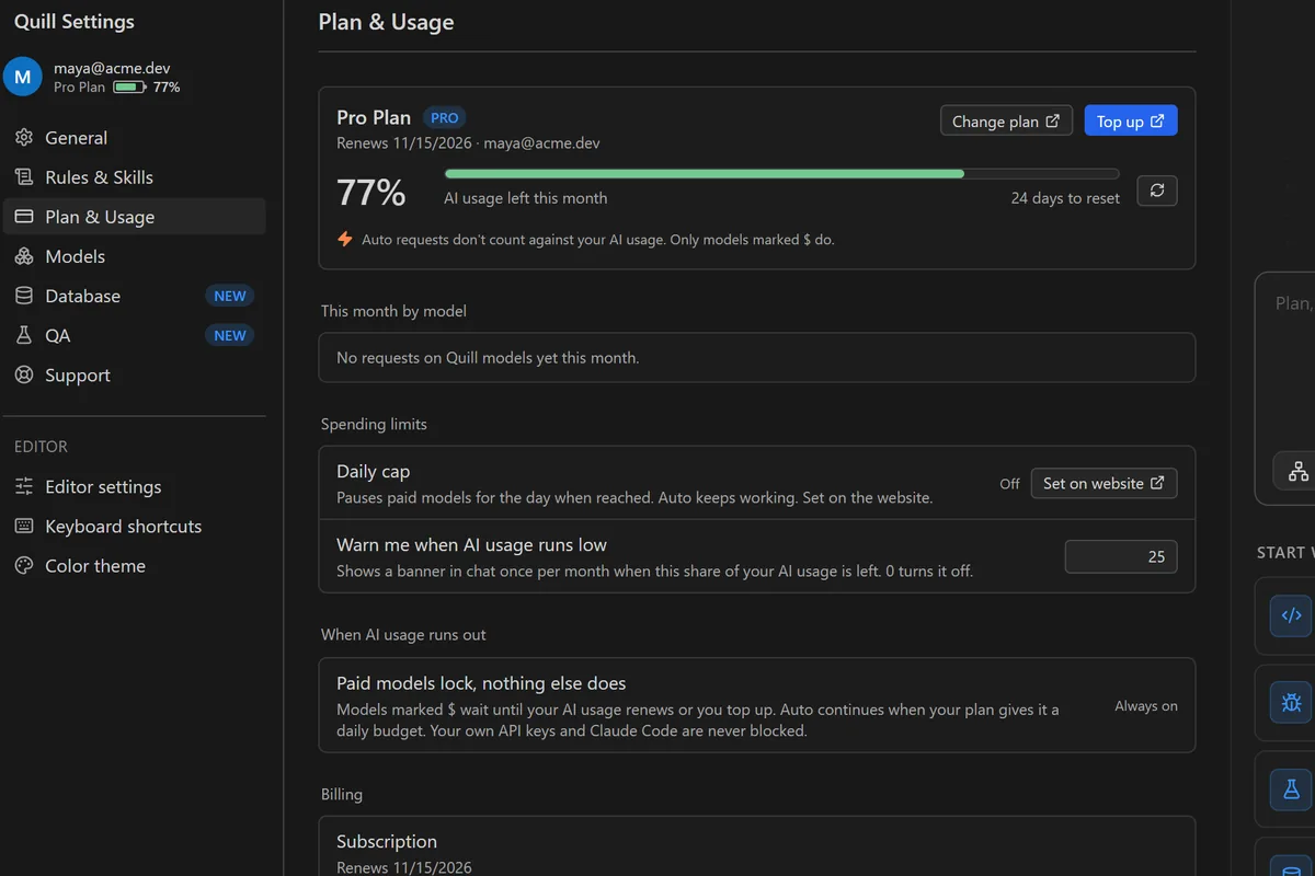 Settings, Plan and Usage: the Pro plan with AI usage left this month, spending limits and billing